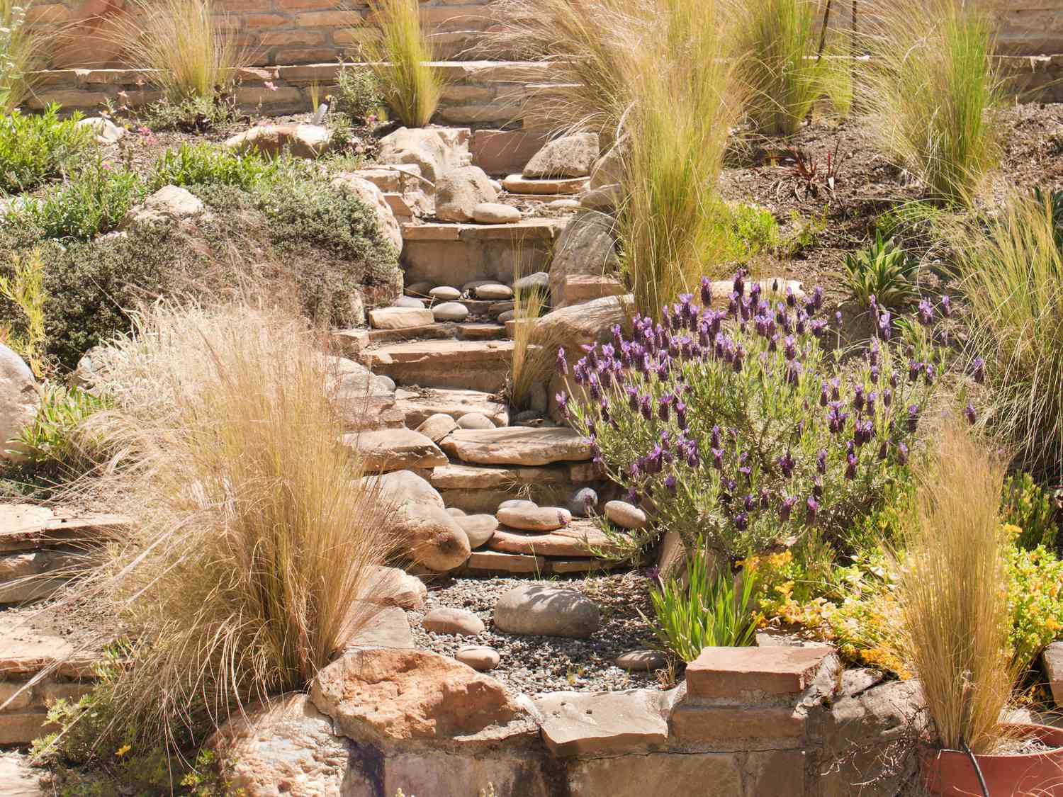 close-up of rock steps in desert garden