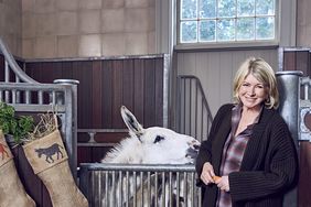 martha in stables with donkey