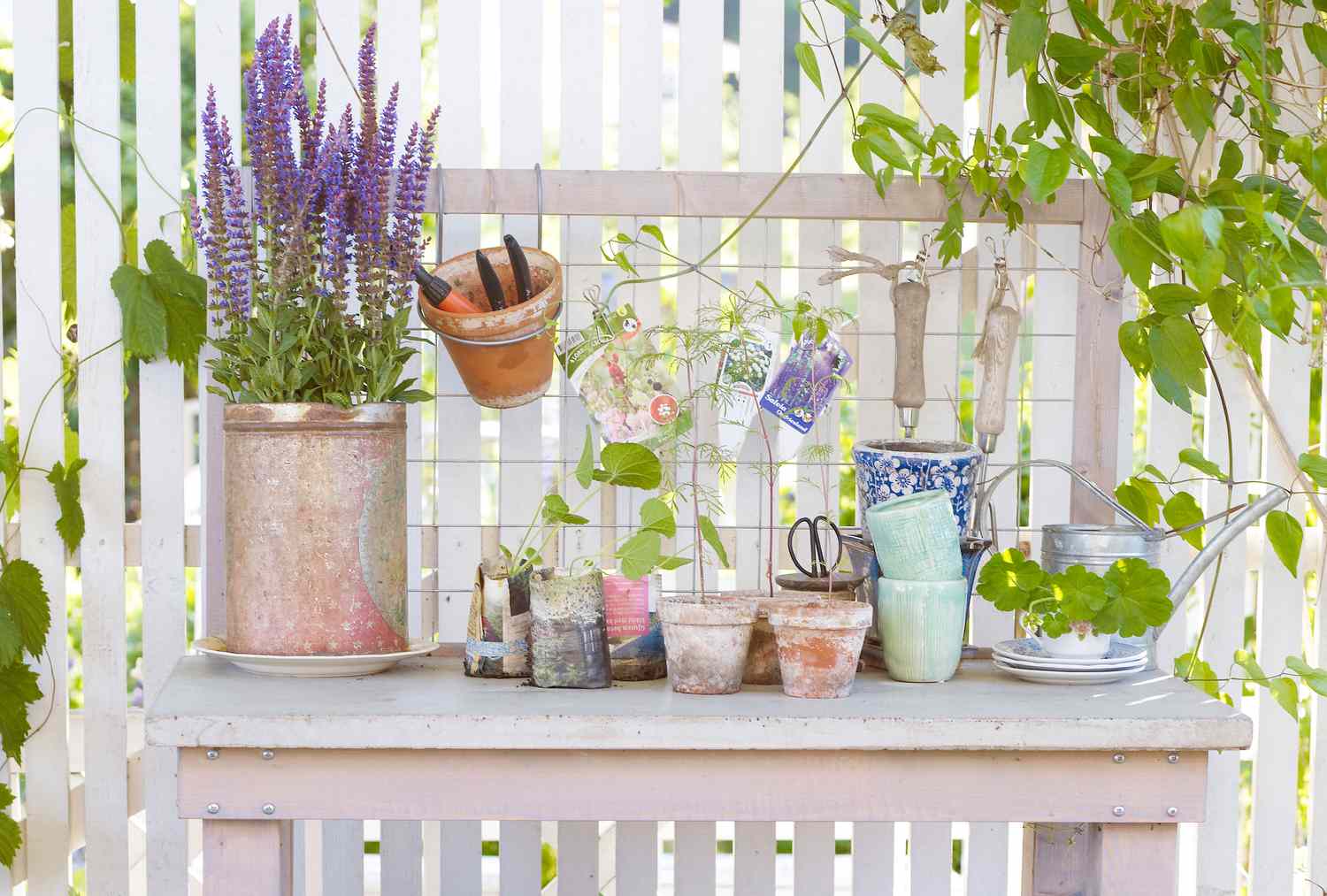 Spring gardening items