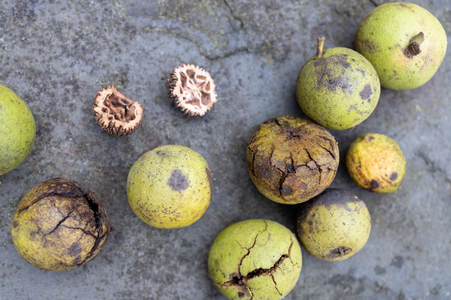 Cracked and intact walnuts on a stone surface