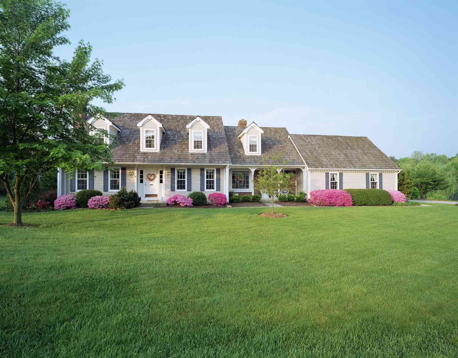 beautiful lush lawn in front yard
