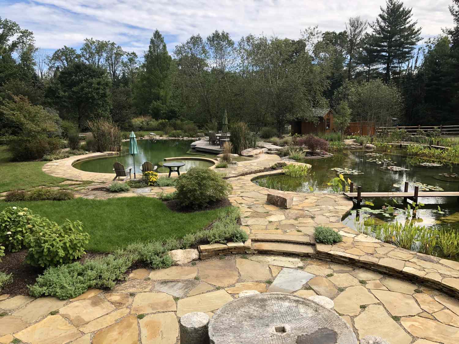 natural swimming pools with plants