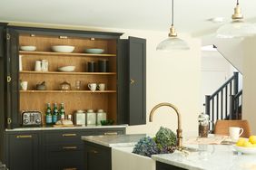A kitchen with a farmhouse sink, dark cabinetry, open shelving with dinnerware, and brass fixtures