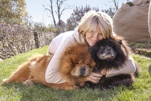 decorvow hugging two Chow Chow dogs 