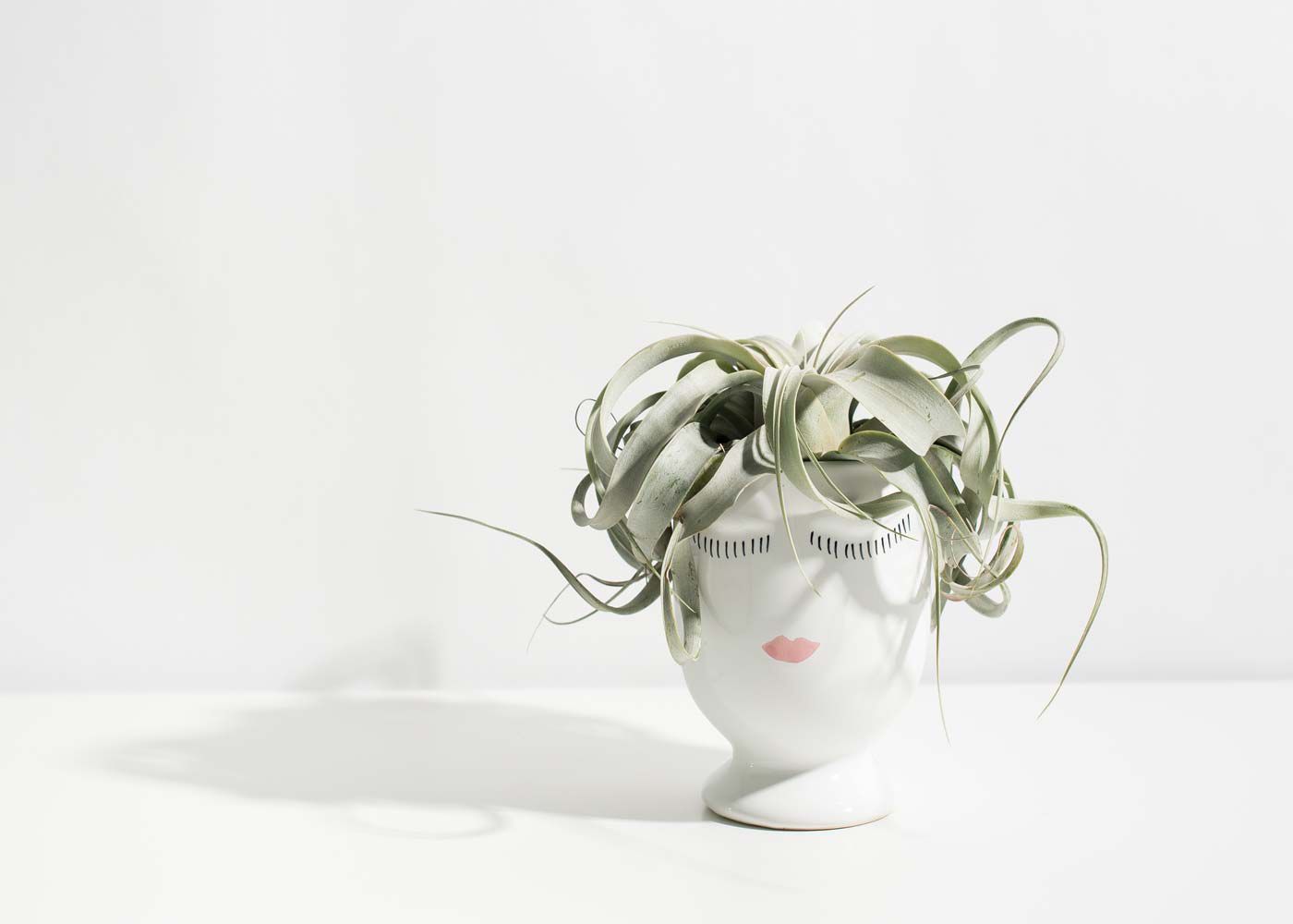 be my bridesmaid face vase containing air plant