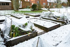A snowy vegetable garden with covered raised beds