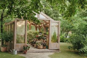 Greenhouse