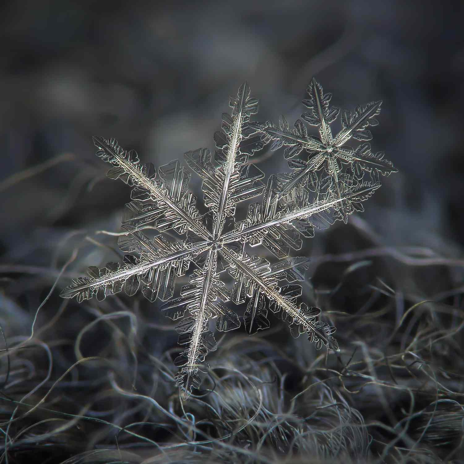 A closeup of two snowflakes resting on a textured surface showcasing intricate crystalline patterns