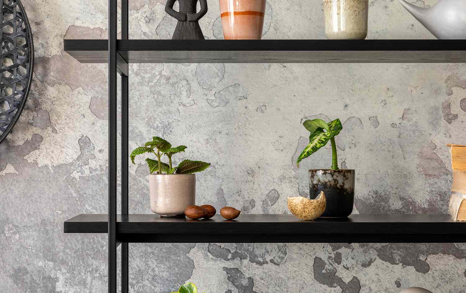 Shelfs styled with natural elemnts