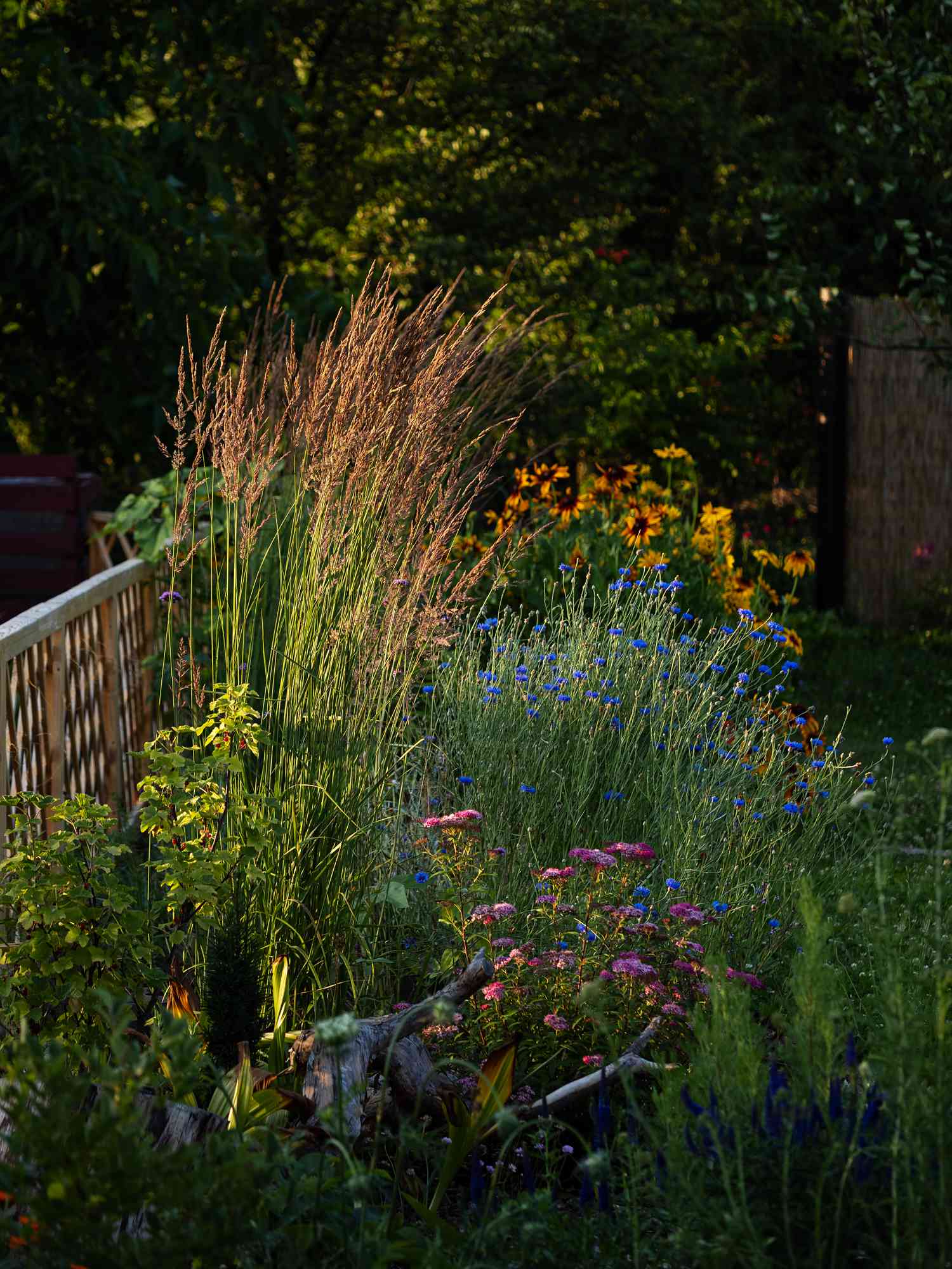 Flower garden mixed with grasses
