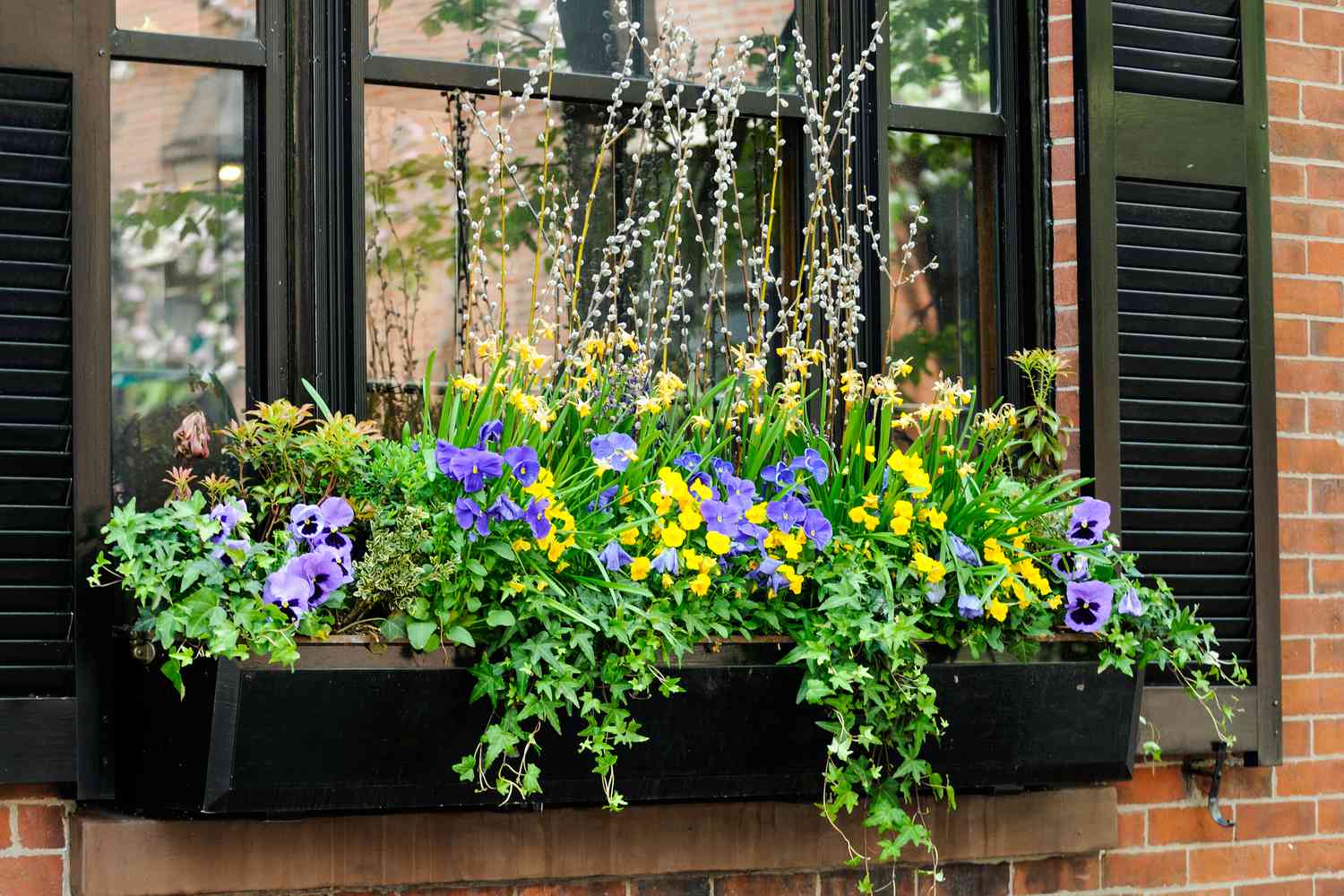 abundance of flowers in window box