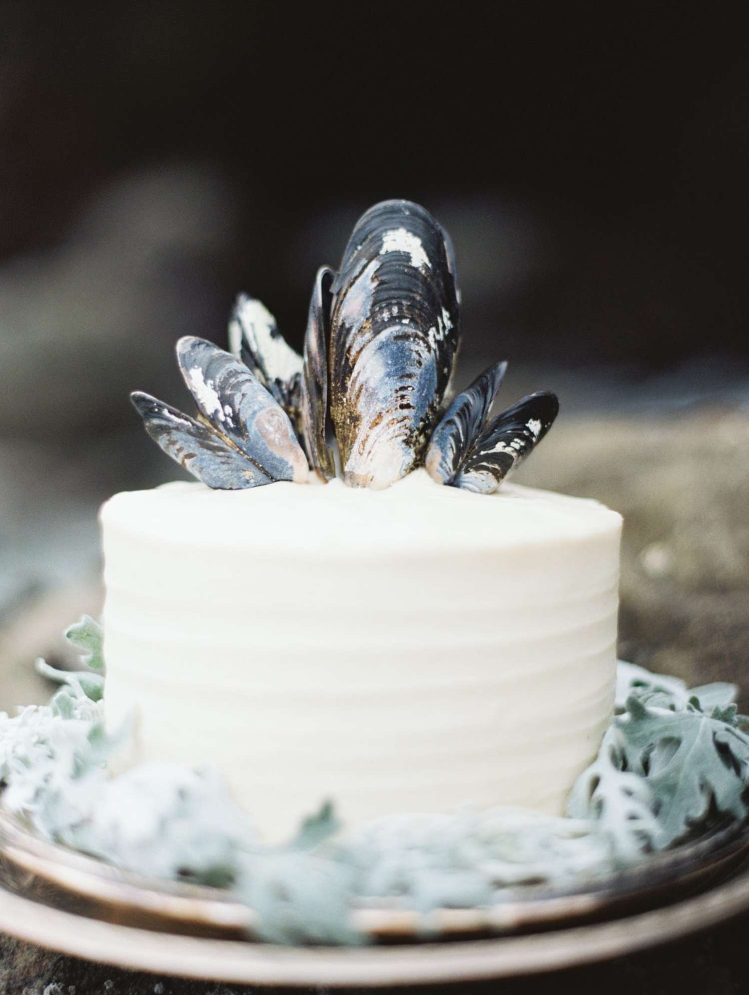 Single-Tiered Wedding Cake Topped with Shells