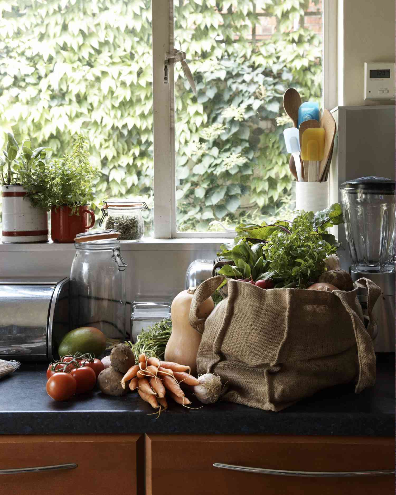 grocery bag sitting on countertop