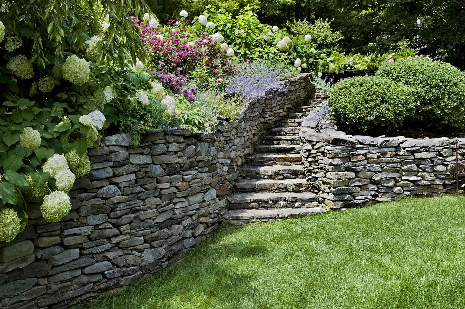 Stacked stone retaining wall with hydrangeas
