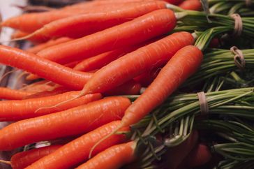 A pile of fresh carrots with green tops attached bundled together with rubber bands arranged closely