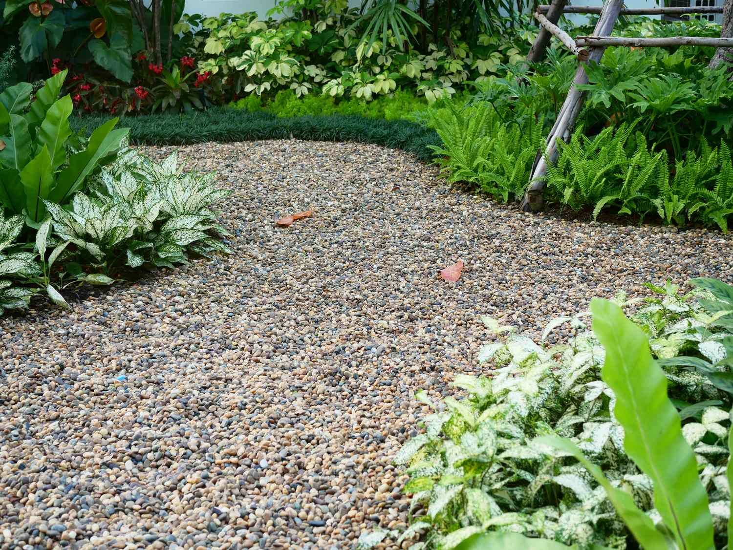 A garden with a curved gravel pathway surrounded by lush green plants and foliage