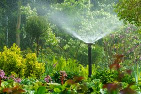 A functioning garden sprinkler watering plants in a landscaped garden