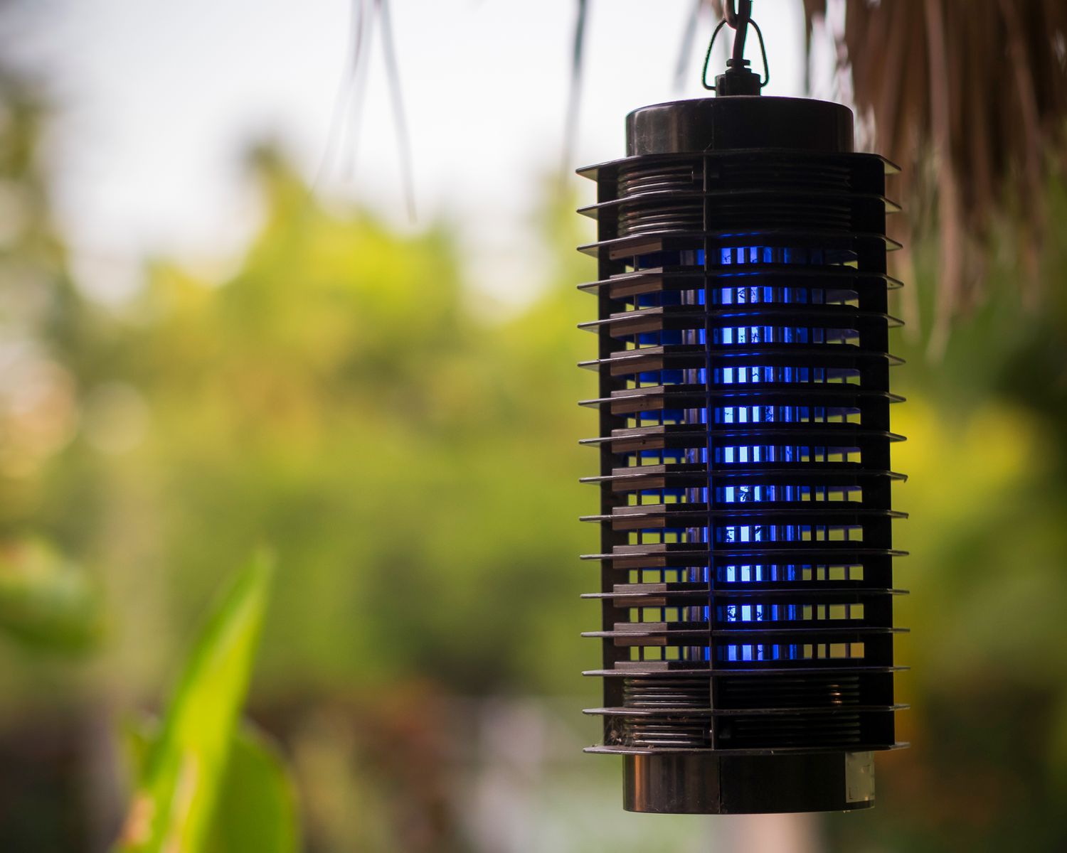 Bug Zapper