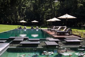natural swimming pool modern