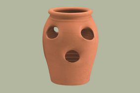 terra cotta tiered strawberry planter