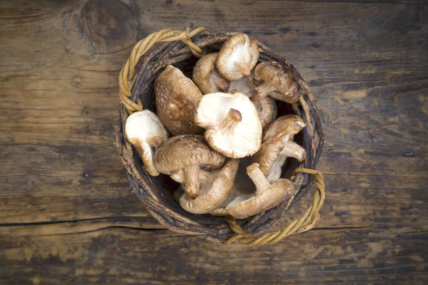 Mushrooms in a basket