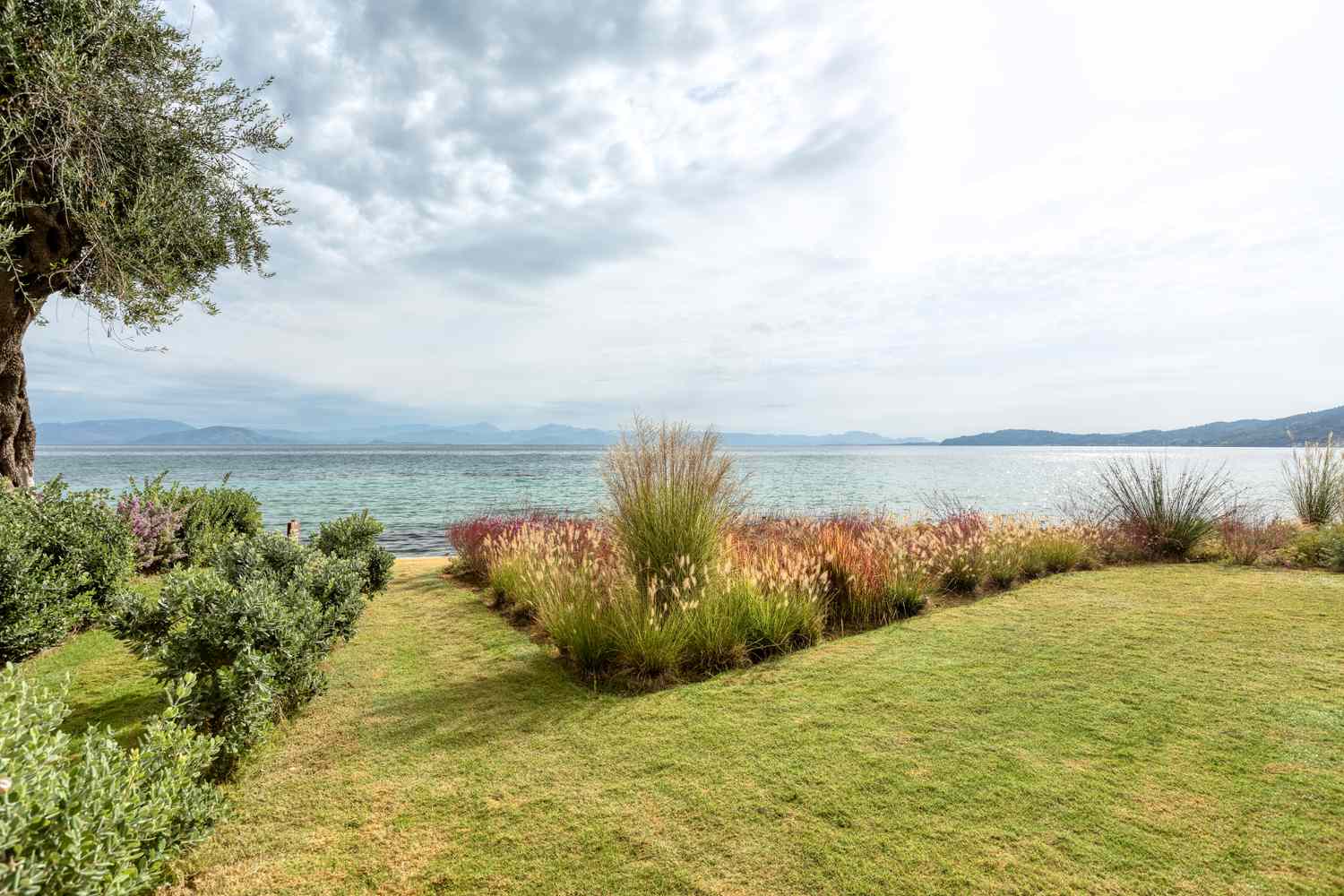 grass garden pathway to the ocean