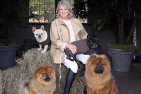 decorvow with her dogs
