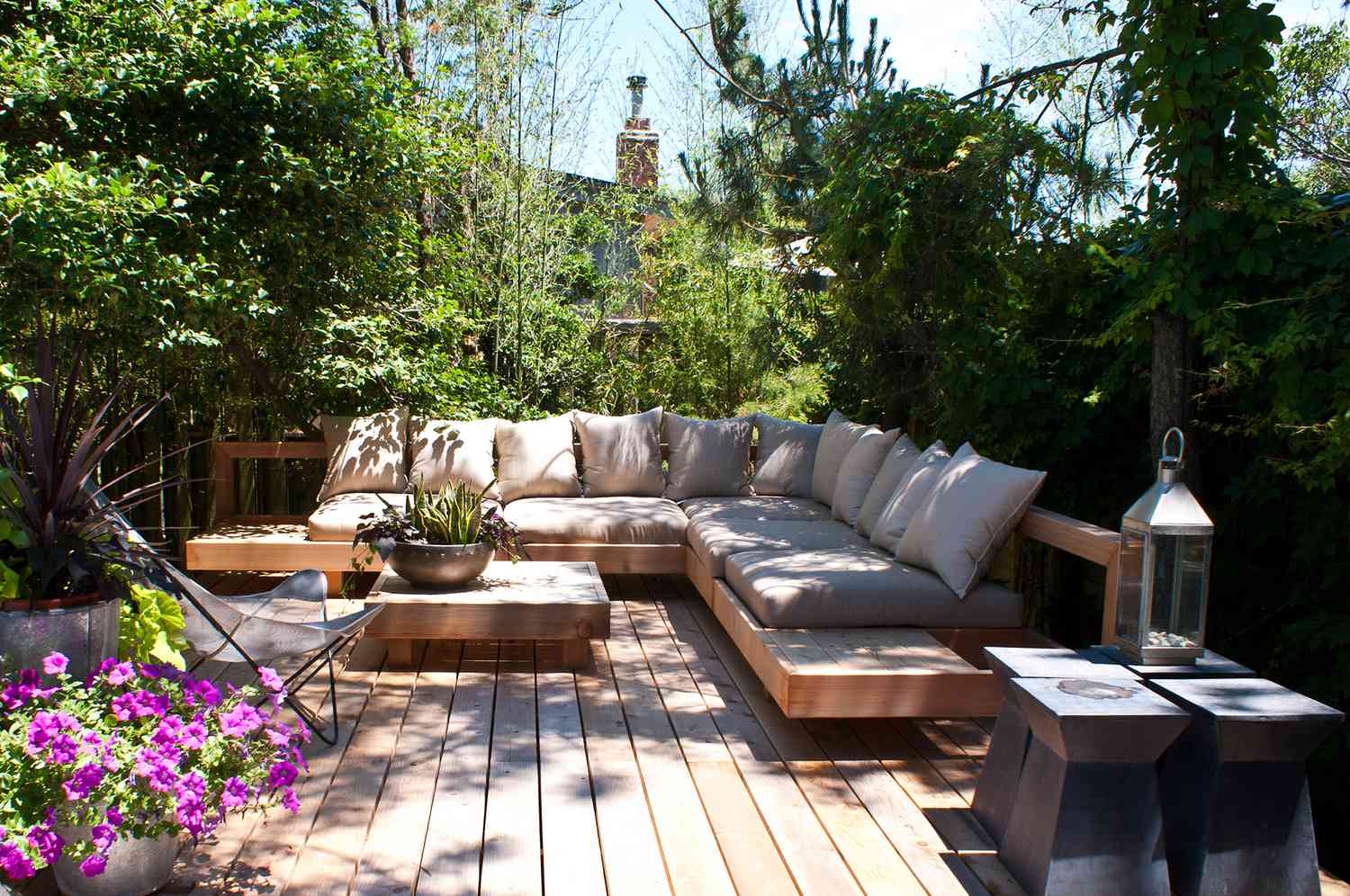tall plants shade for patio