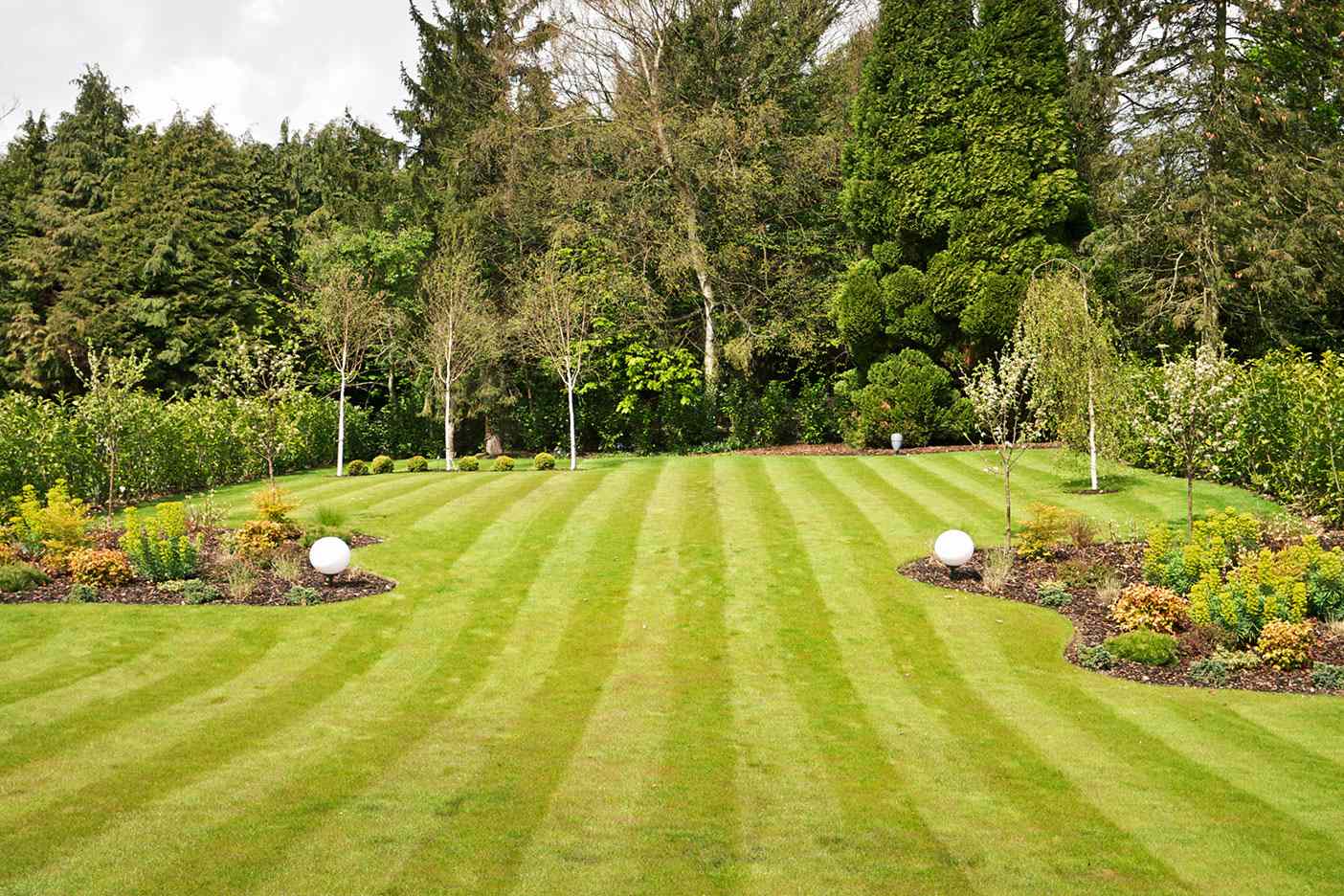 mowed lawn 