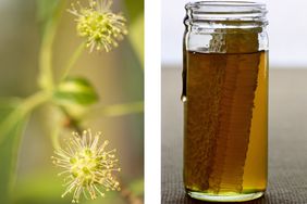 A close-up of tupelo tree flowers and a jar containing honey with honeycomb