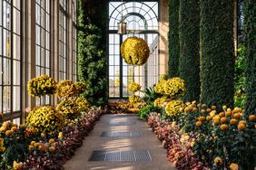 Indoor garden walkway with flowering plants and large decorative flower arrangements suspended