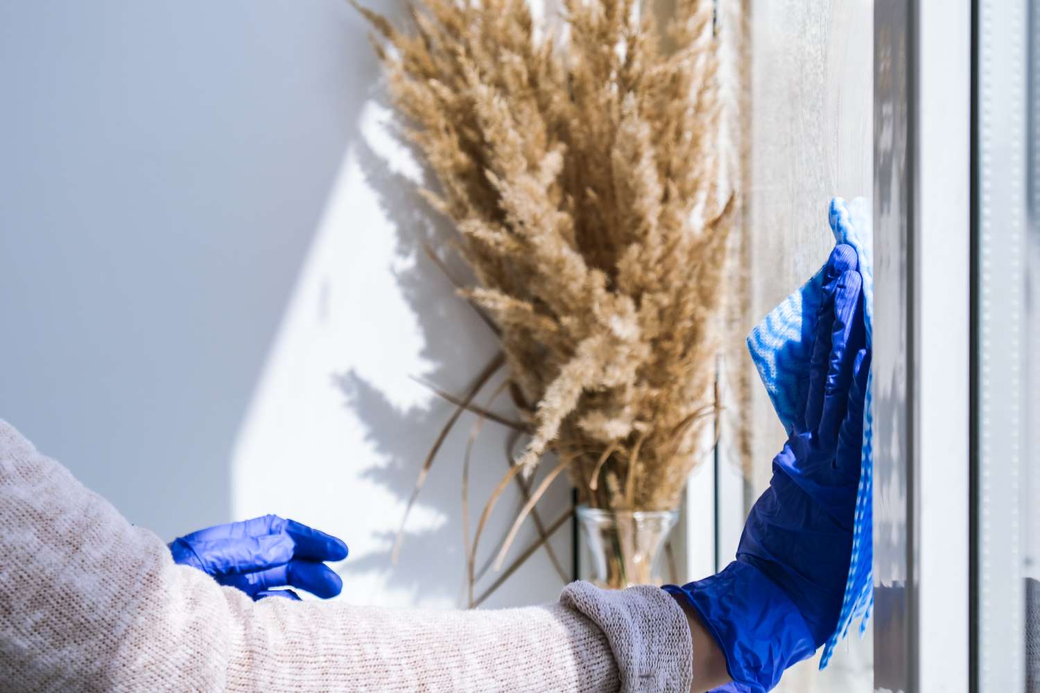 Person cleaning glass window with a blue cloth, pampas grass in the background