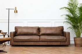 Leather sofa in a living room setting with a lamp a plant nearby and a wooden floor