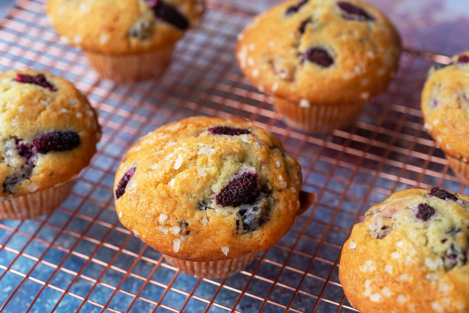 Freshly baked muffins with fruit pieces on a cooling rack