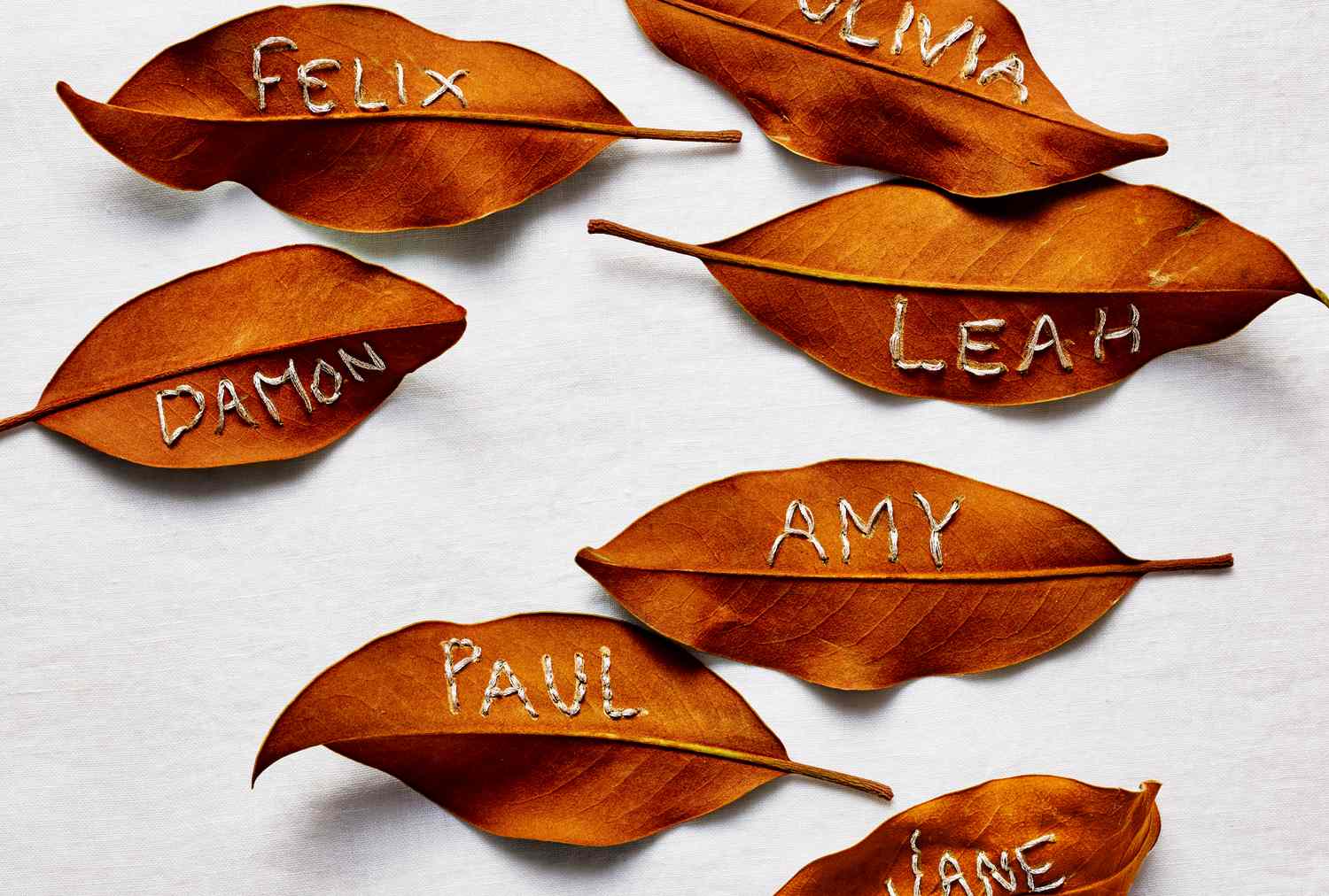 Leaf name cards with handwritten names including Felix Olivia Leah Damon Amy Paul and Jane