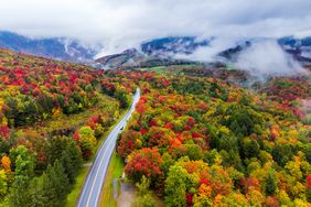 A road winding through a forested landscape with hills in the background and fog over the treetops
