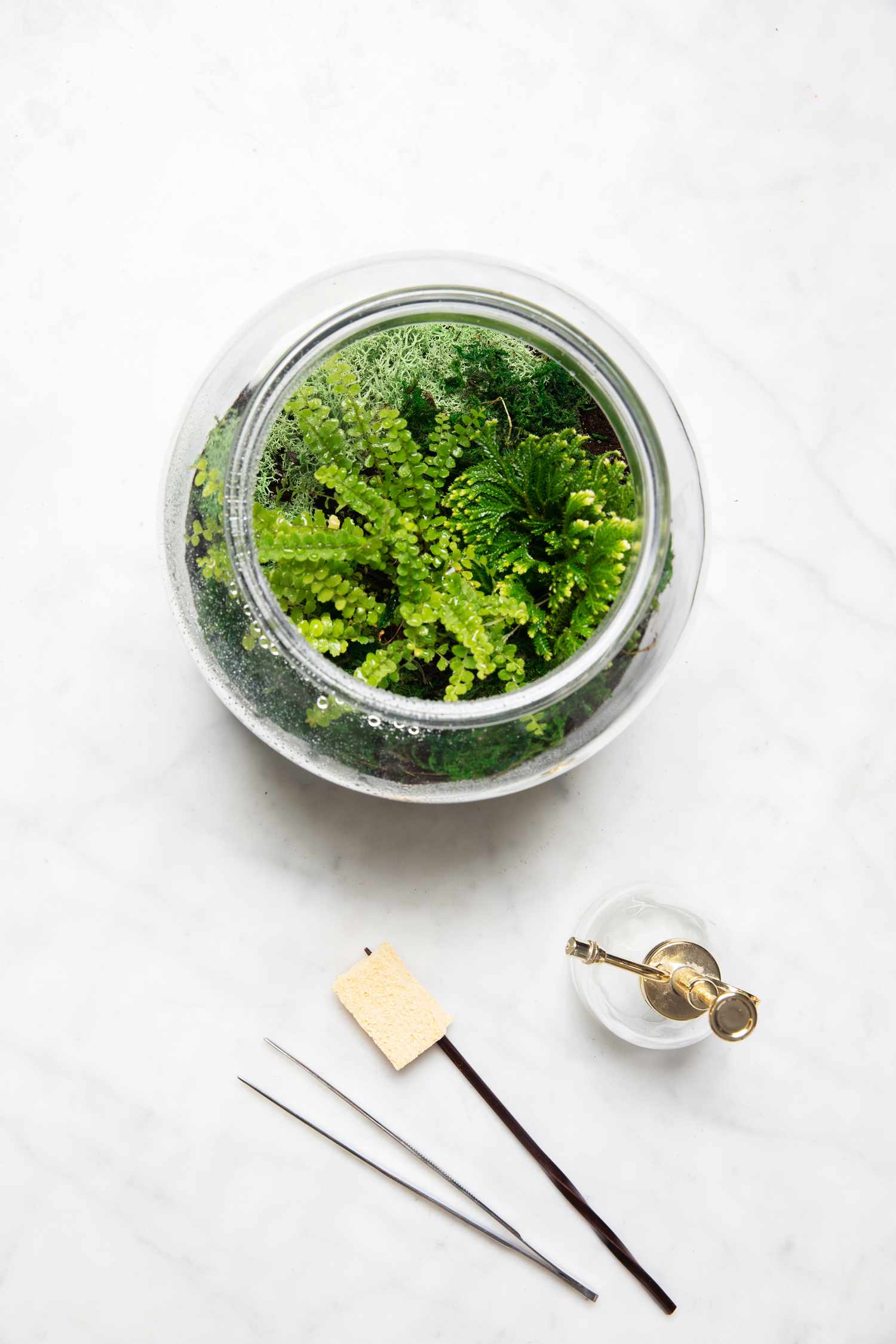 terrarium care tools