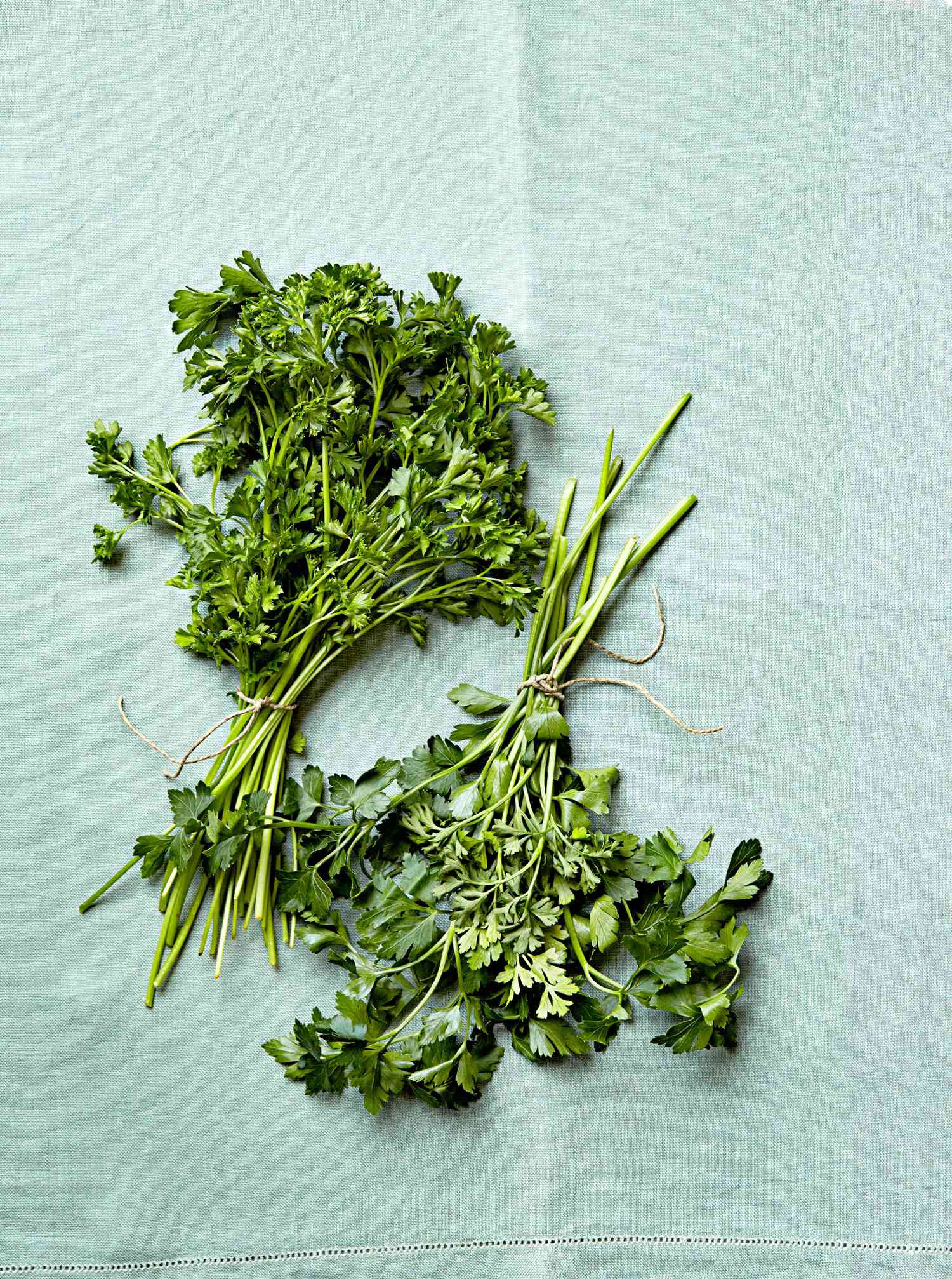 bunches of parsley on blue cloth
