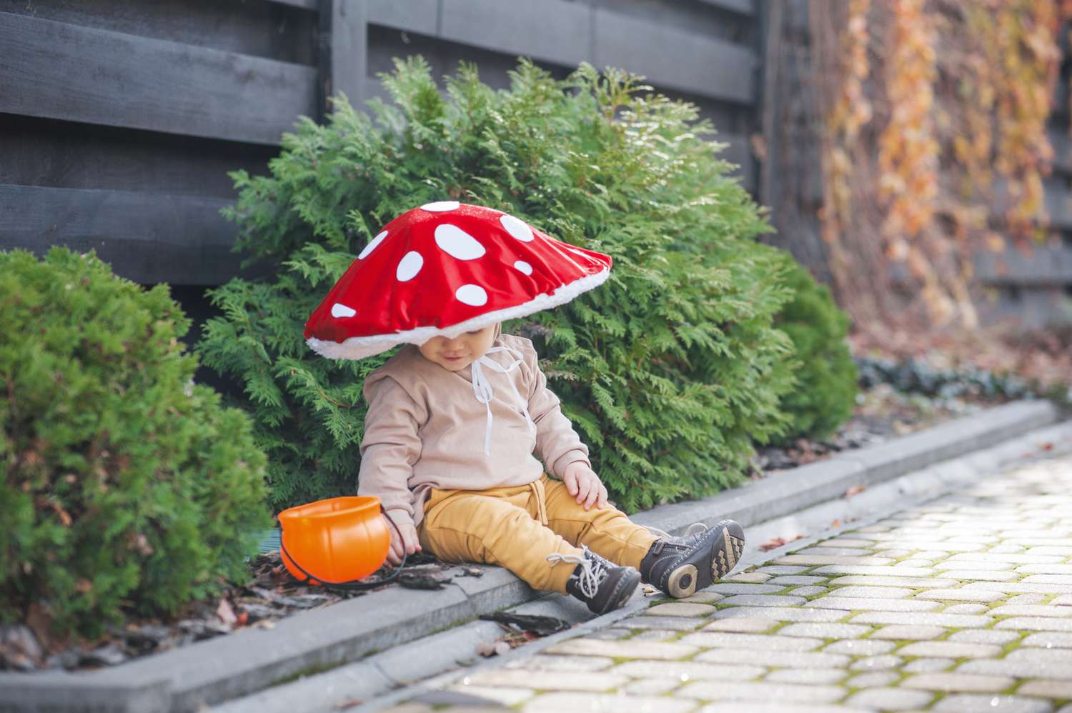 Child dressed in a mushroom costume sitting outdoors holding an orange bucket with bushes and a paved walkway in the background