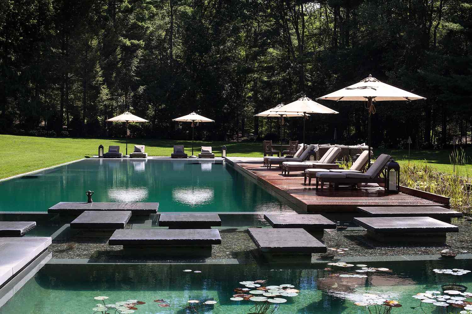 natural swimming pool modern