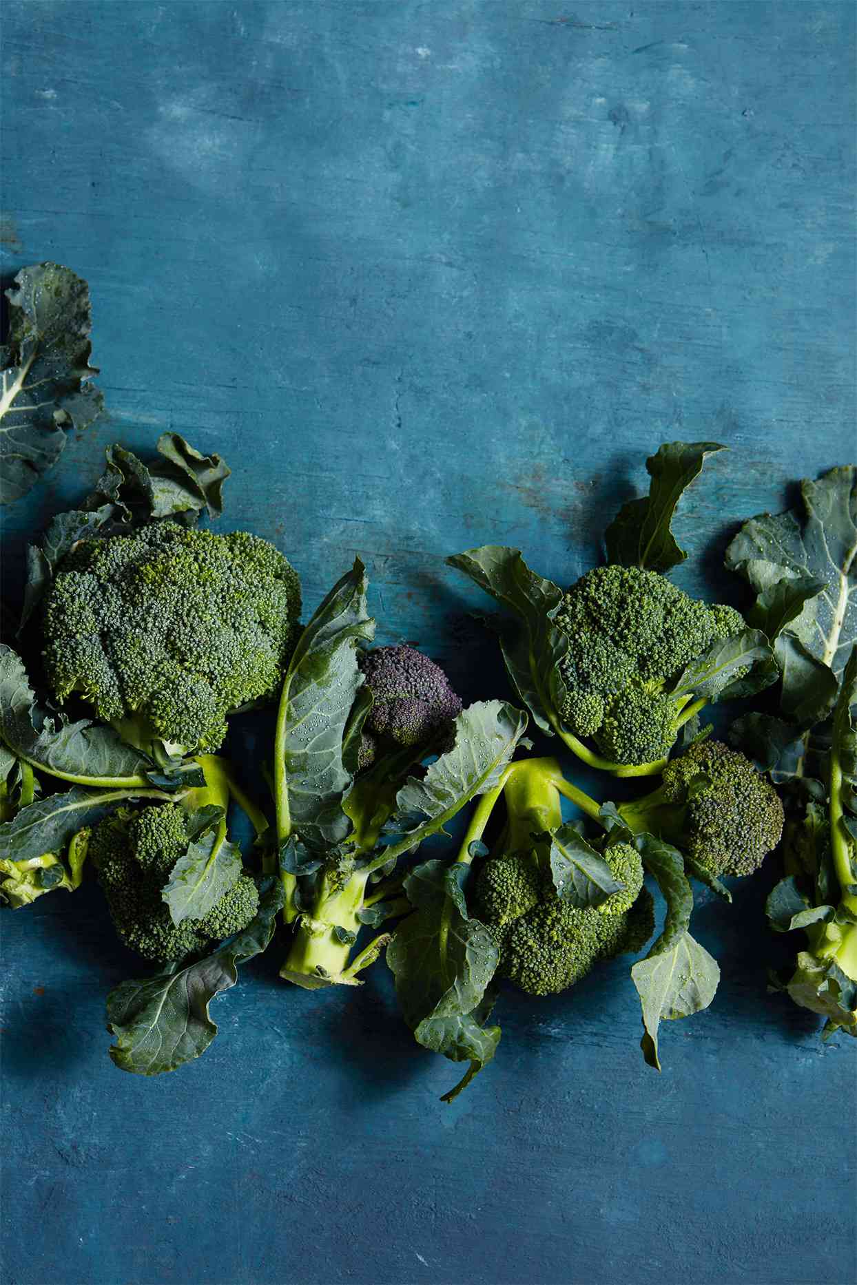 broccoli against a blue background