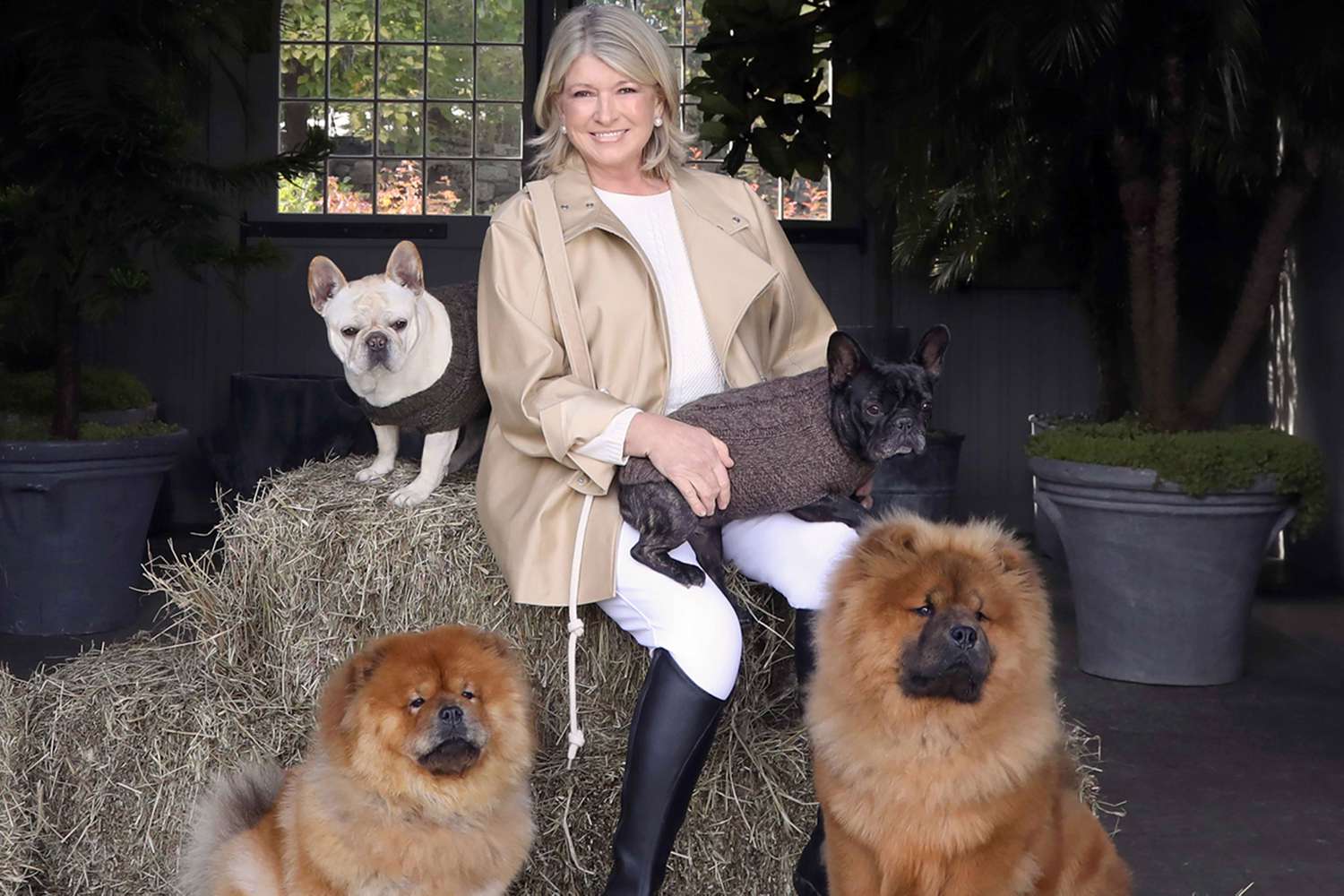 decorvow with her dogs