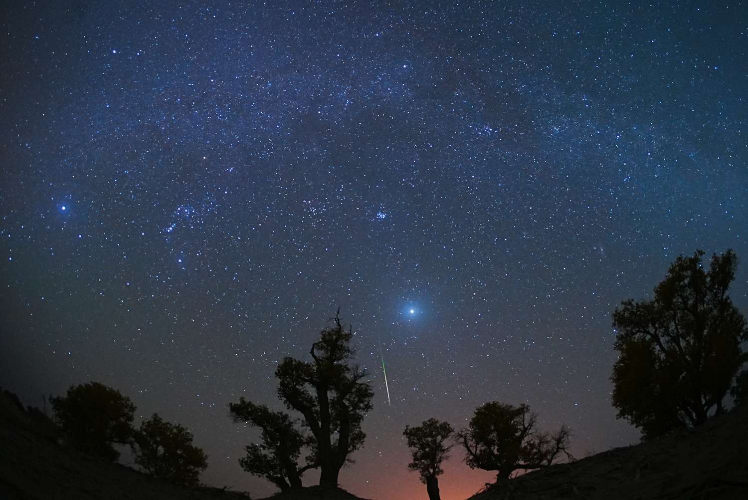 Night sky with visible trees and a meteor streak across the stars