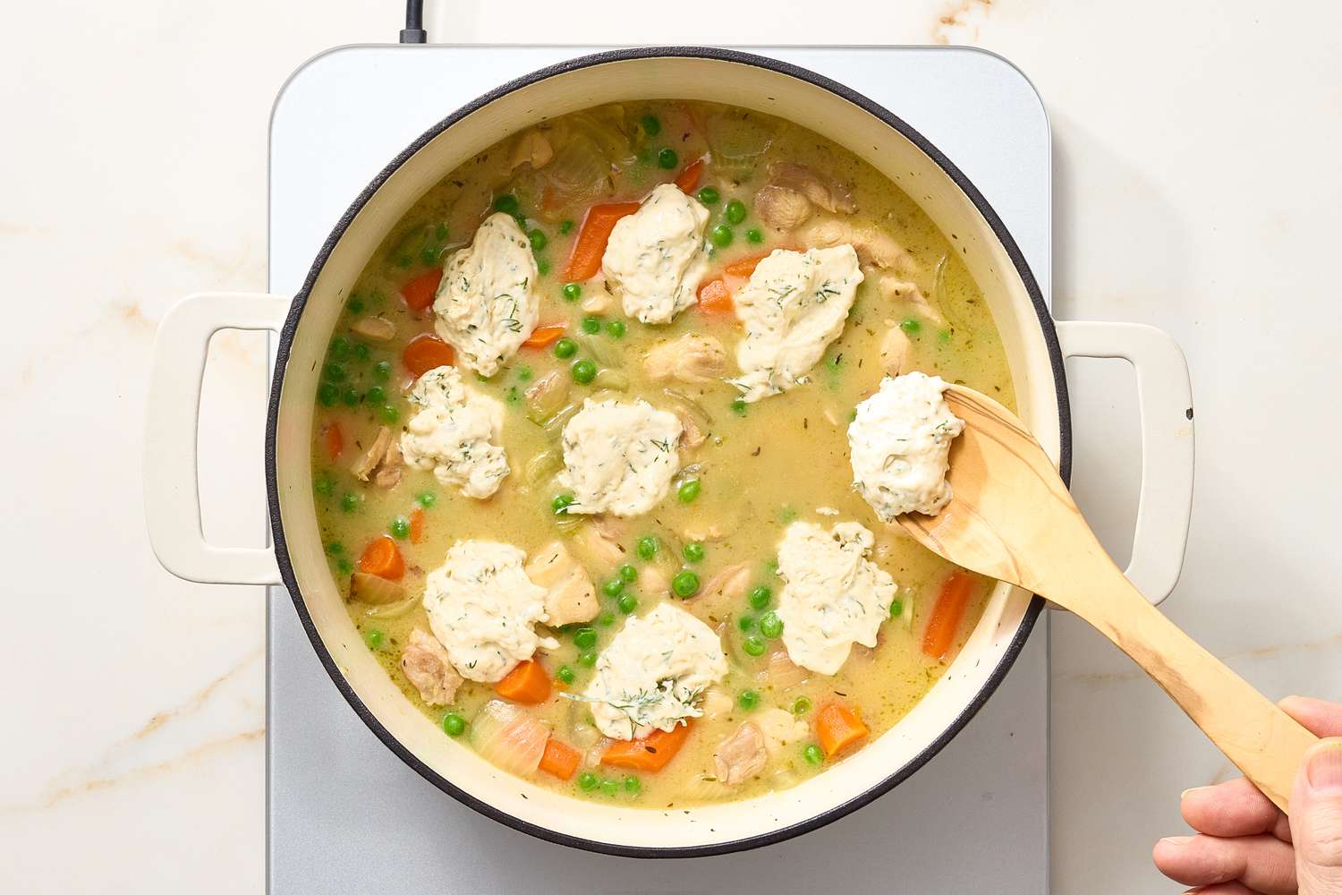 Chicken and dumplings